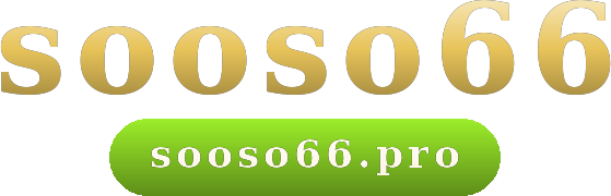 sooso66 logo